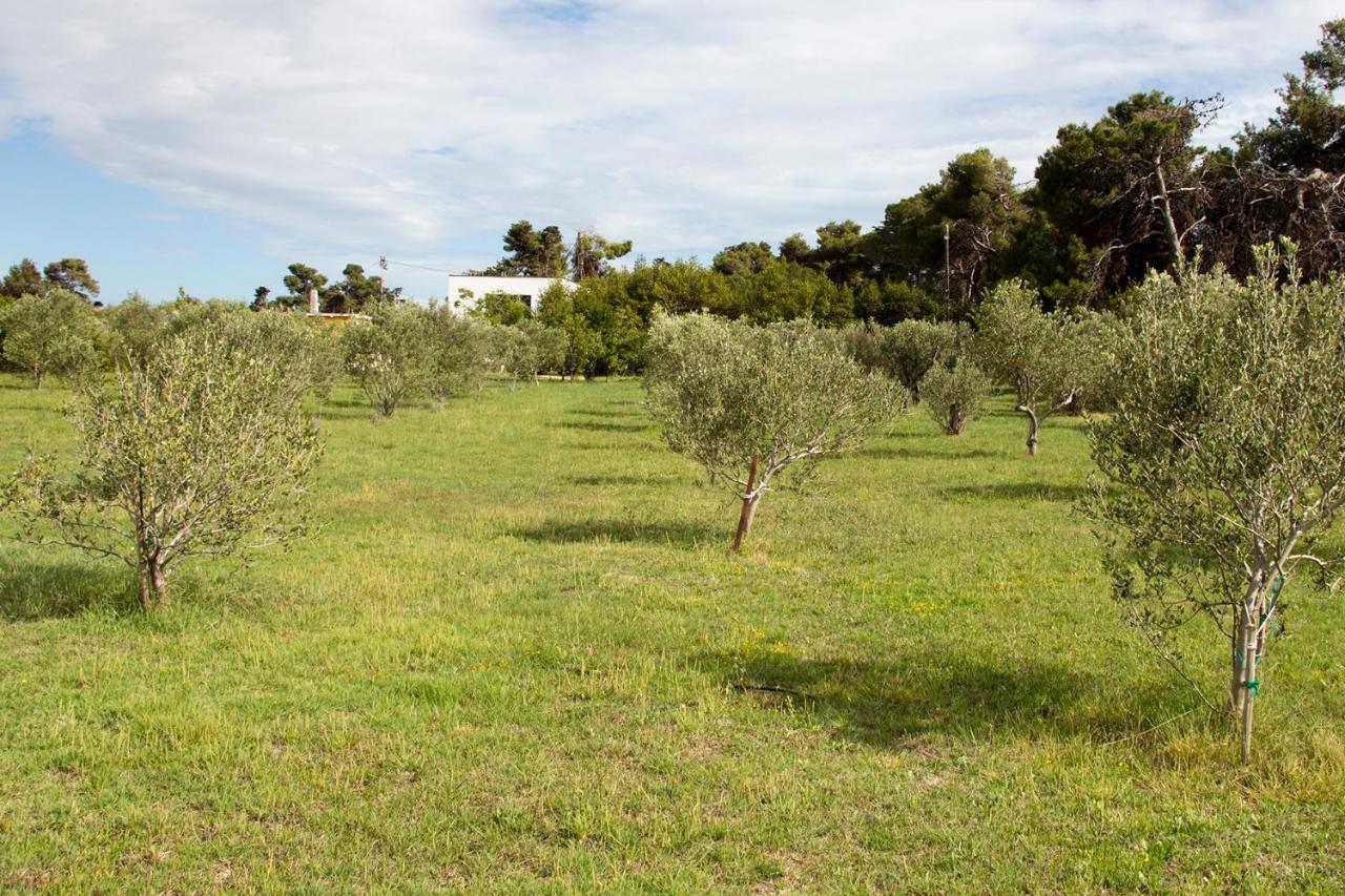 Villa Rosemary Park Zadar Eksteriør billede