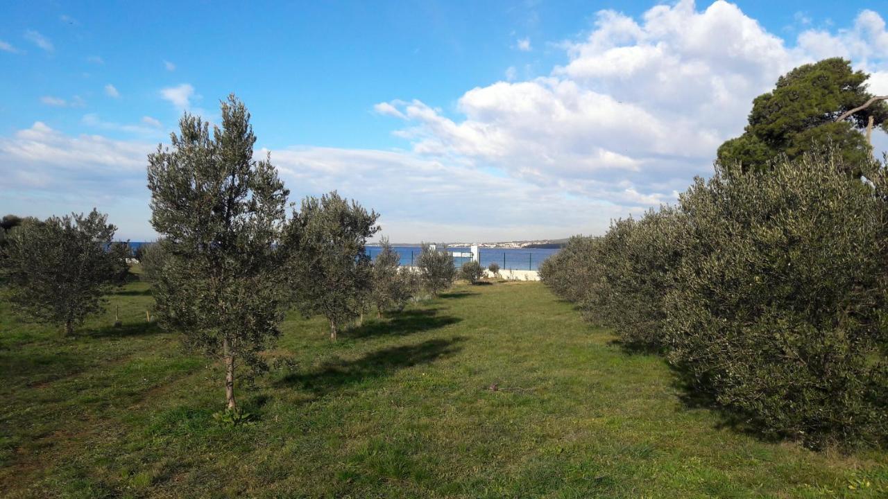 Villa Rosemary Park Zadar Eksteriør billede