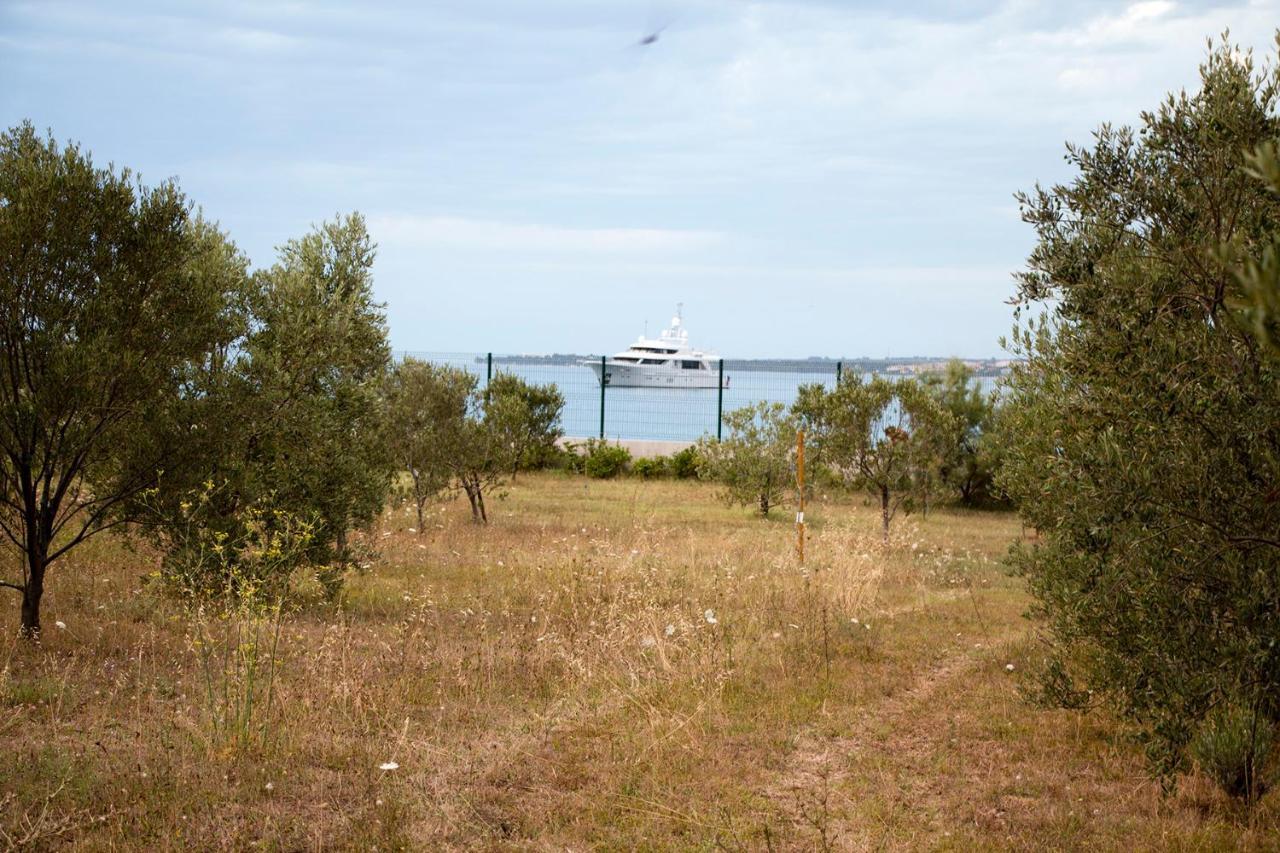 Villa Rosemary Park Zadar Eksteriør billede