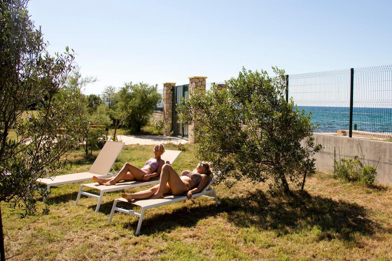 Villa Rosemary Park Zadar Eksteriør billede