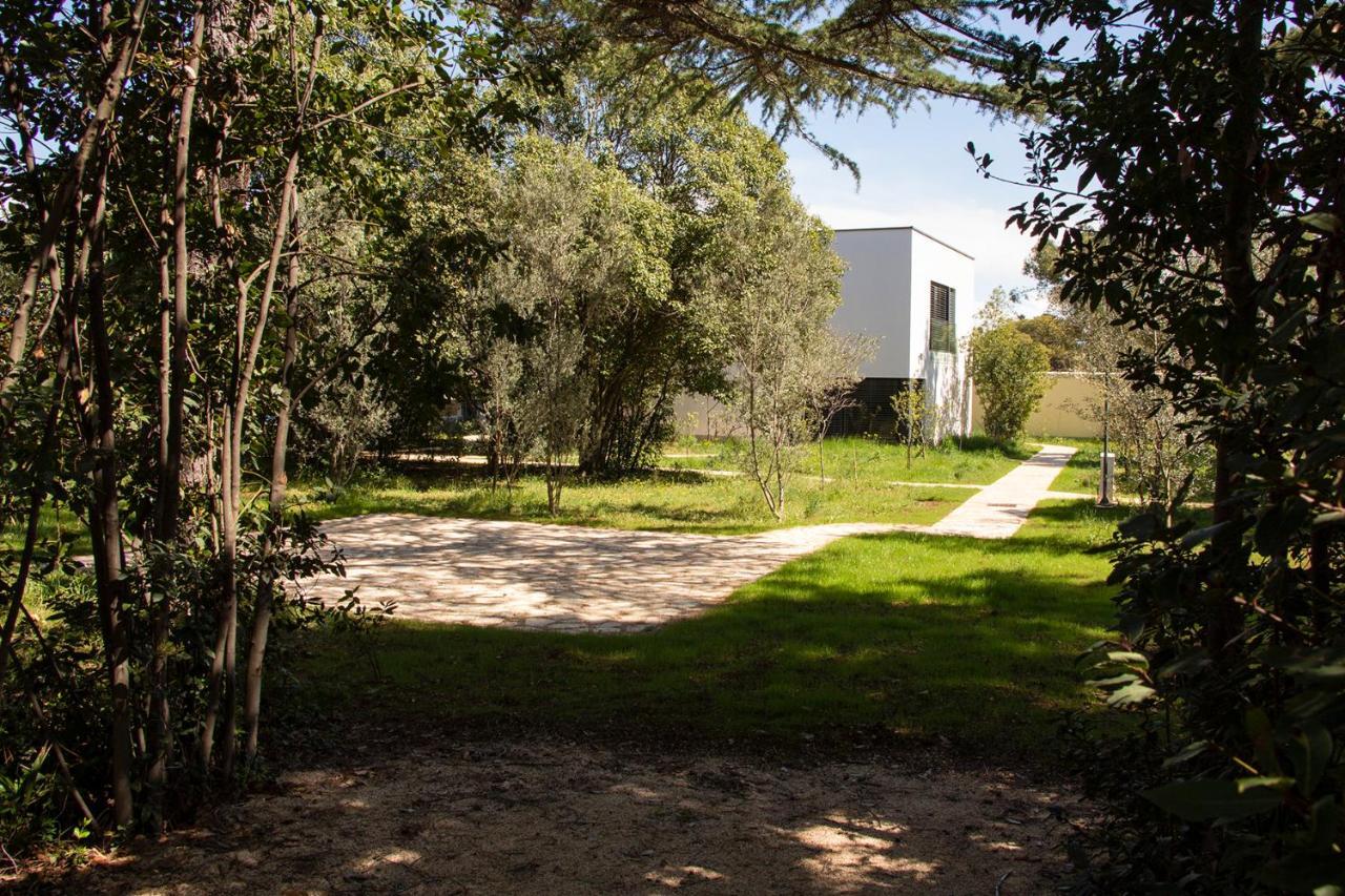 Villa Rosemary Park Zadar Eksteriør billede
