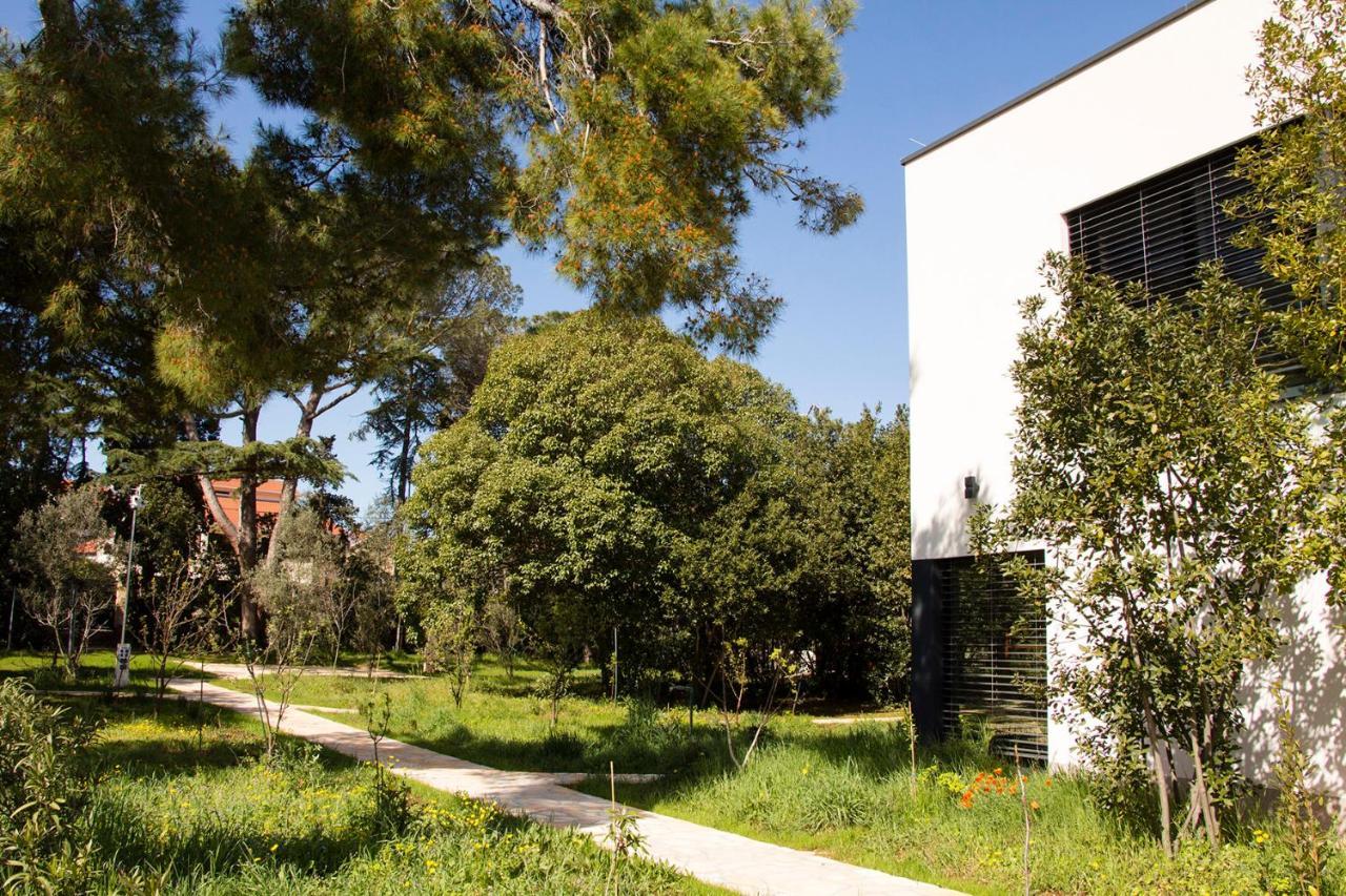Villa Rosemary Park Zadar Eksteriør billede