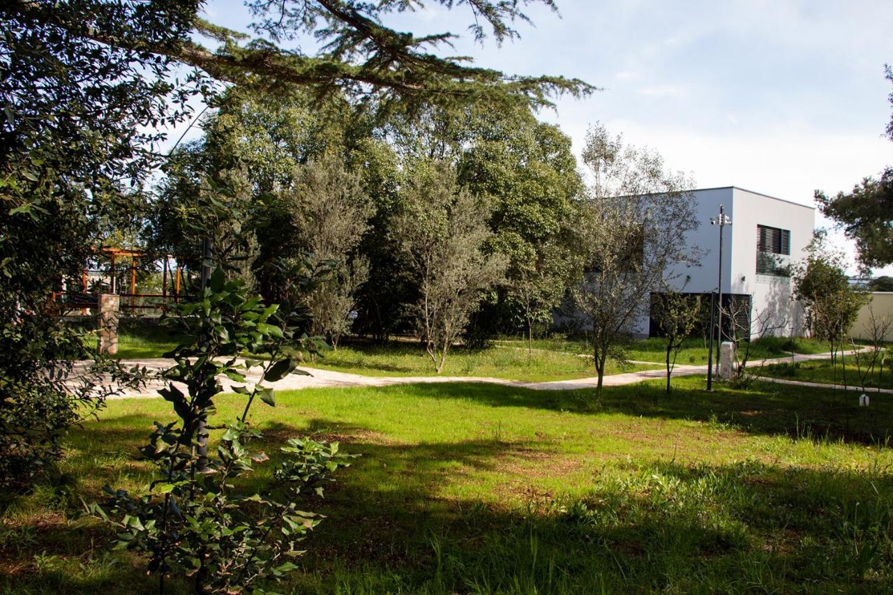Villa Rosemary Park Zadar Eksteriør billede