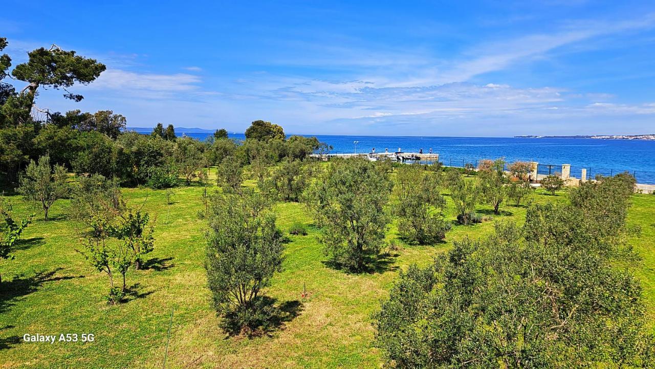 Villa Rosemary Park Zadar Eksteriør billede